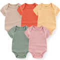 Lotinho Body Infantil Cores